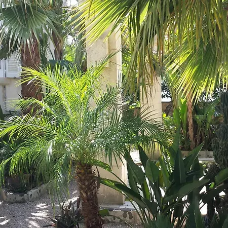 Luxury Villa Monika Villa *